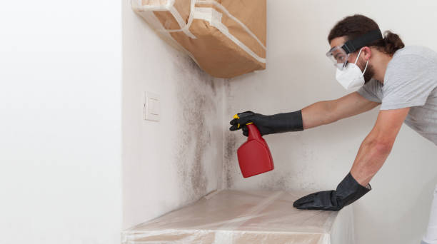 Professional Basement Mold Remediation technician working in Fort Myer, VA